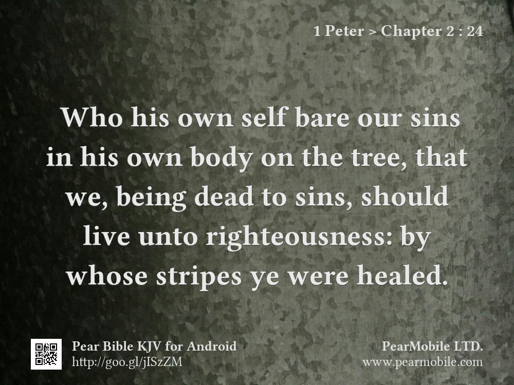 1 Peter, Chapter 2:24
